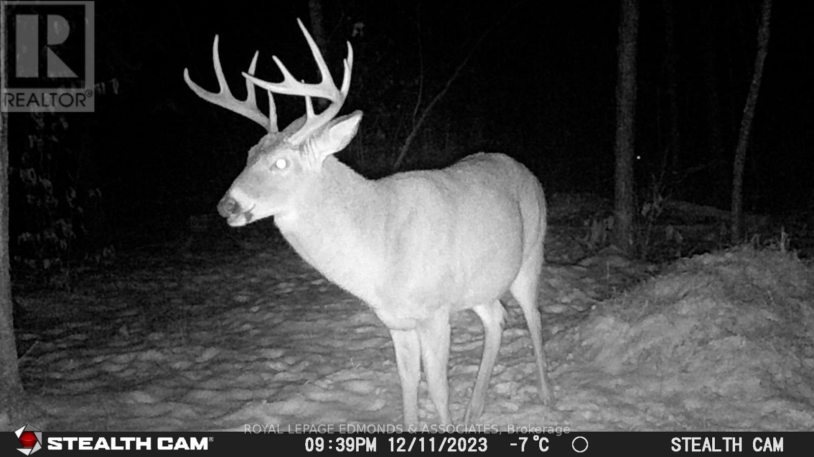 0 Reiche Road, North Algona Wilberforce, ON