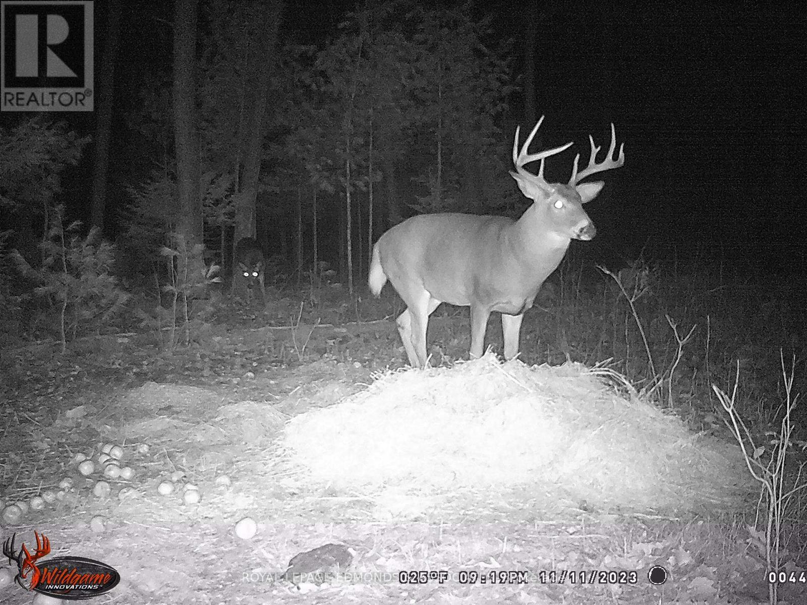 0 Reiche Road, North Algona Wilberforce, ON