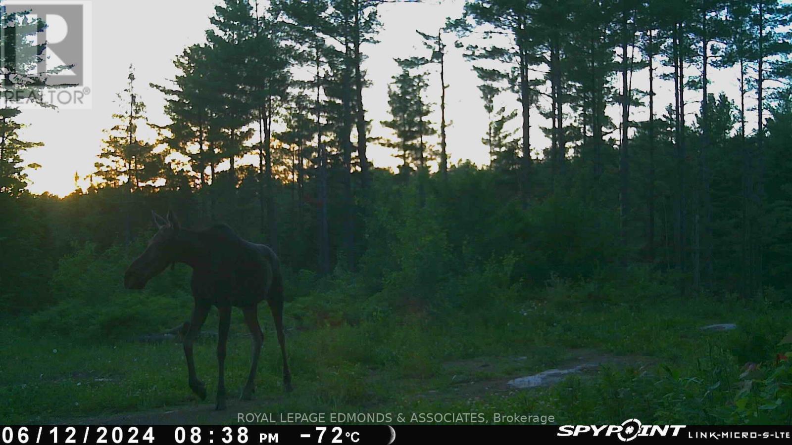 0 Reiche Road, North Algona Wilberforce, ON