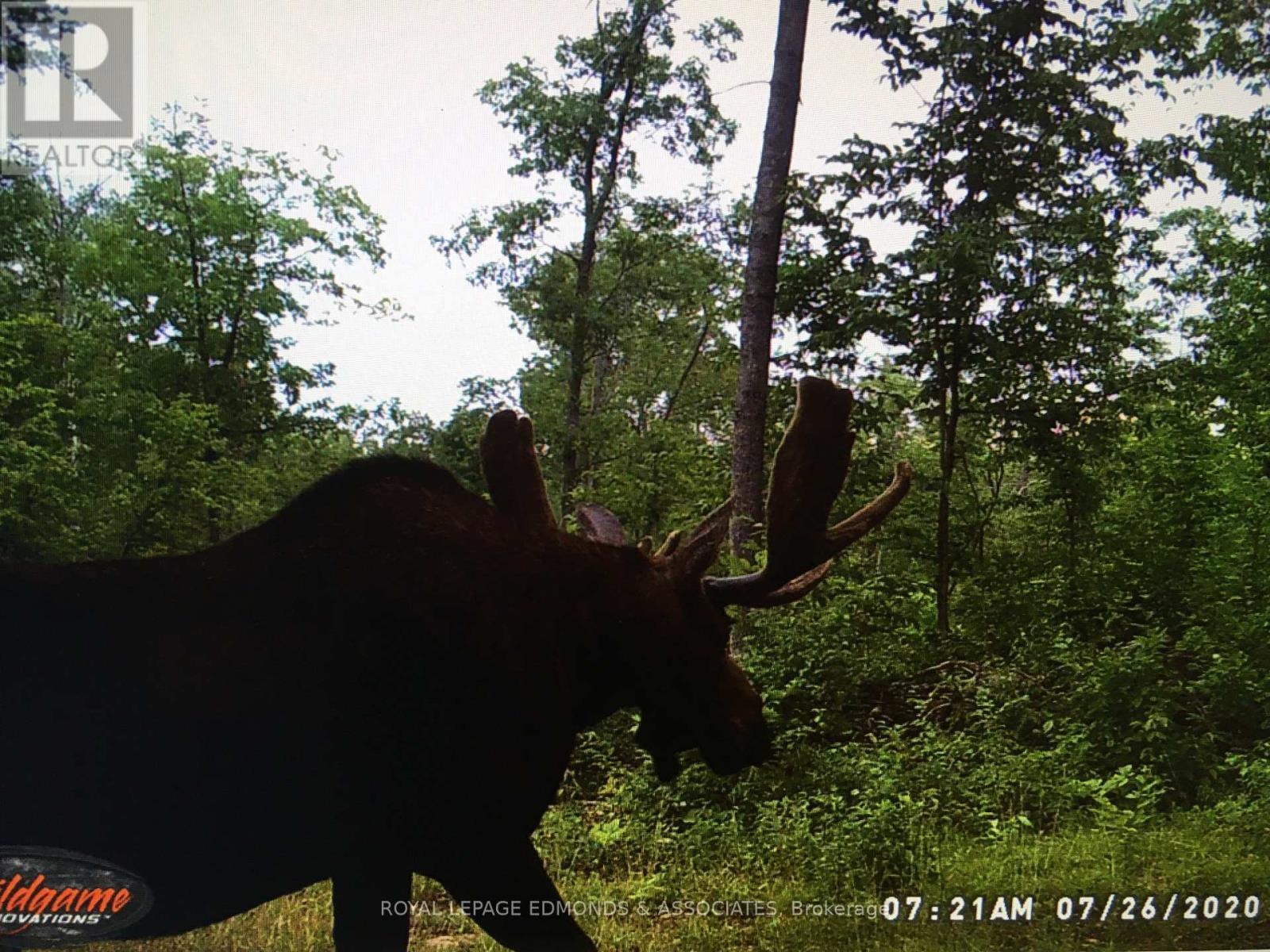 0 Reiche Road, North Algona Wilberforce, ON