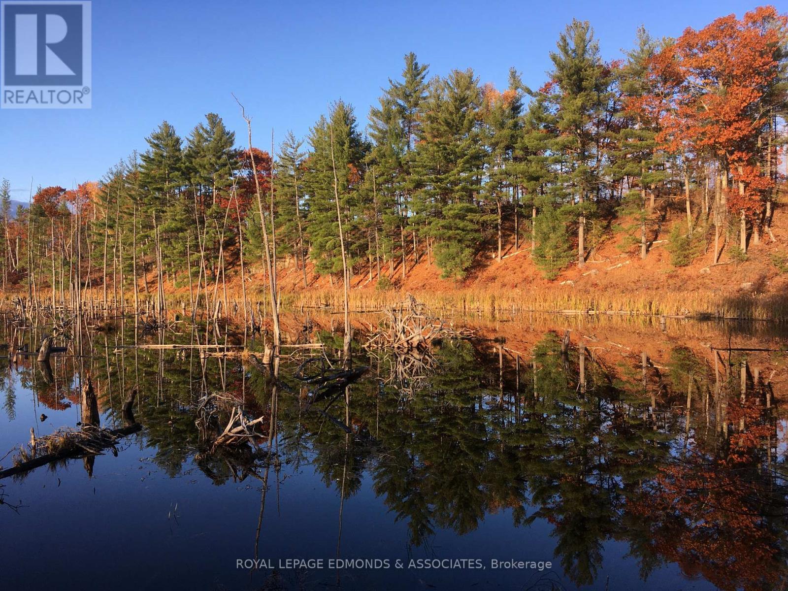 0 Reiche Road, North Algona Wilberforce, ON