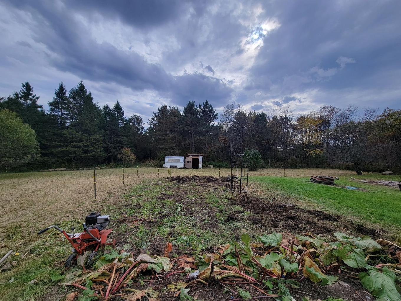 Backyard - 434 Ch. De La Diligence, Stukely-Sud, QC - Outdoor