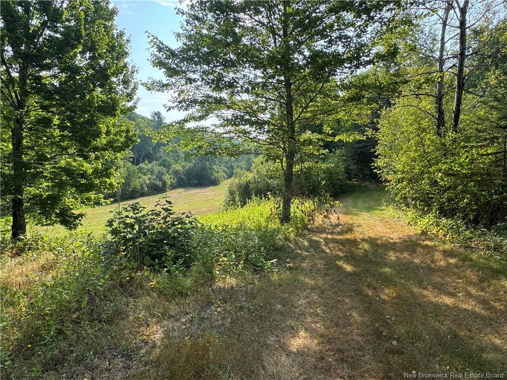 19 A. Prosser Rd, Parkindale, NB