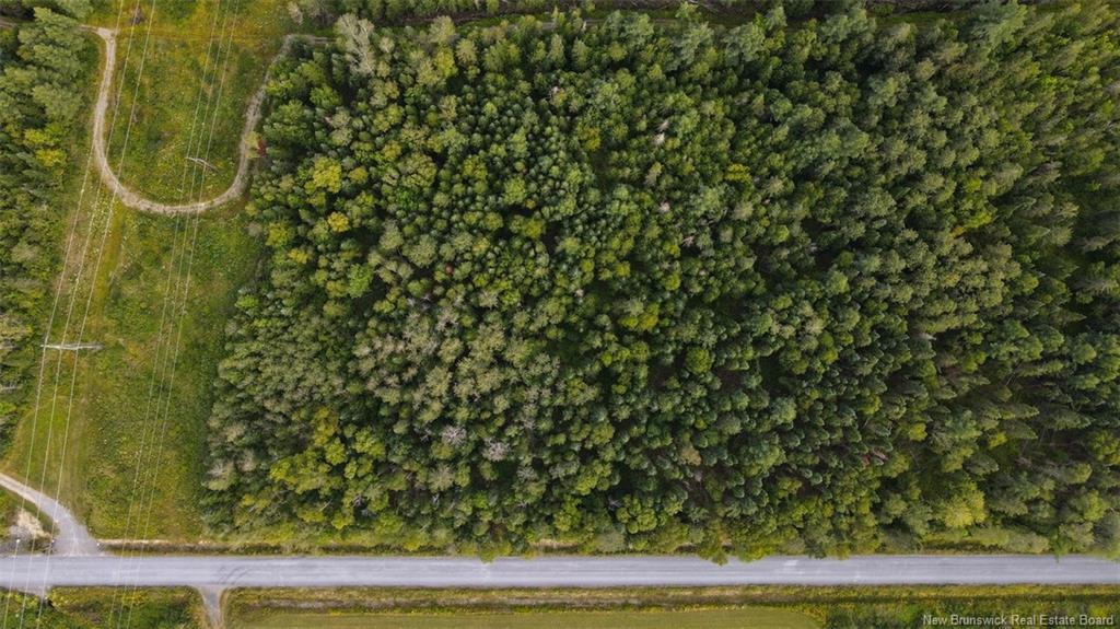 Lot Doucet Rd, Rivière-Verte, NB