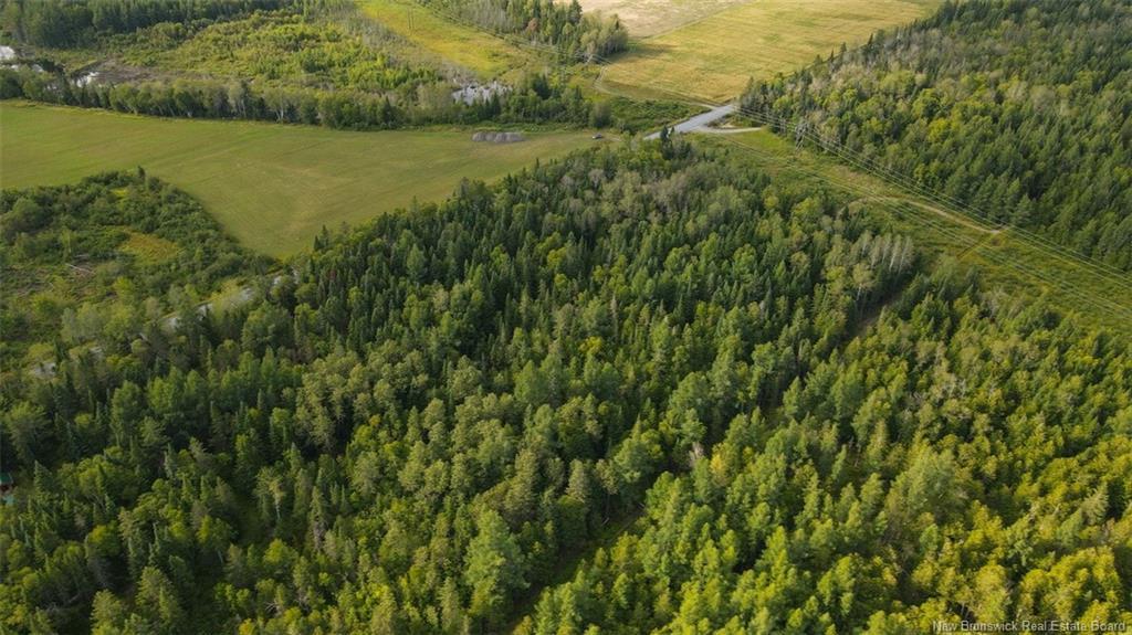 Lot Doucet Rd, Rivière-Verte, NB
