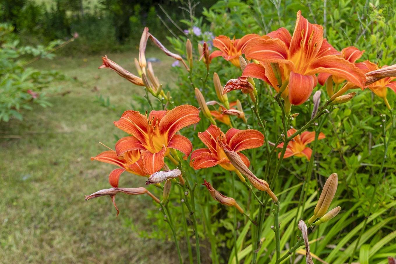 140 Hartling Road, West Quoddy, NS