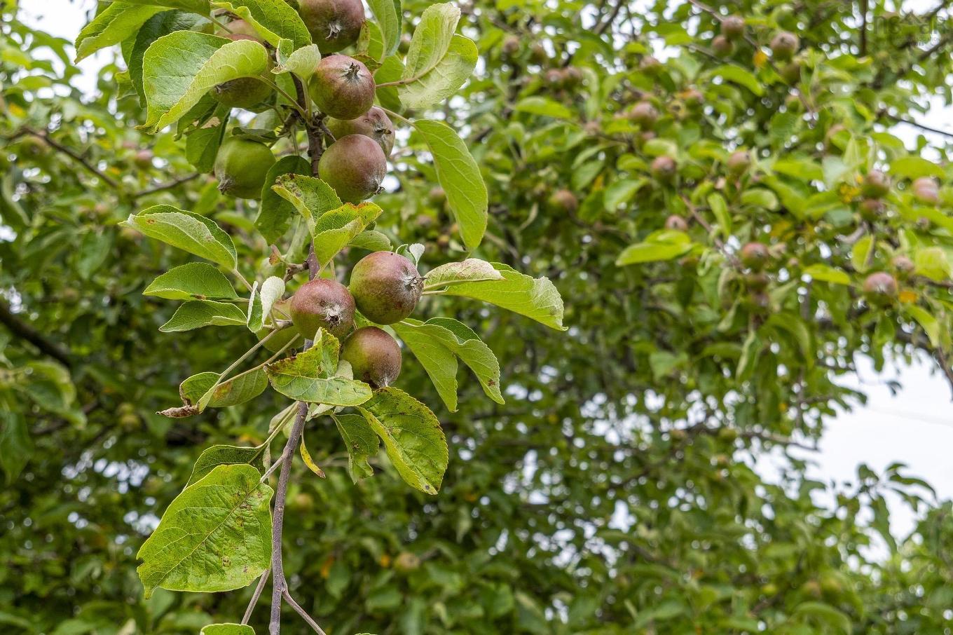 140 Hartling Road, West Quoddy, NS