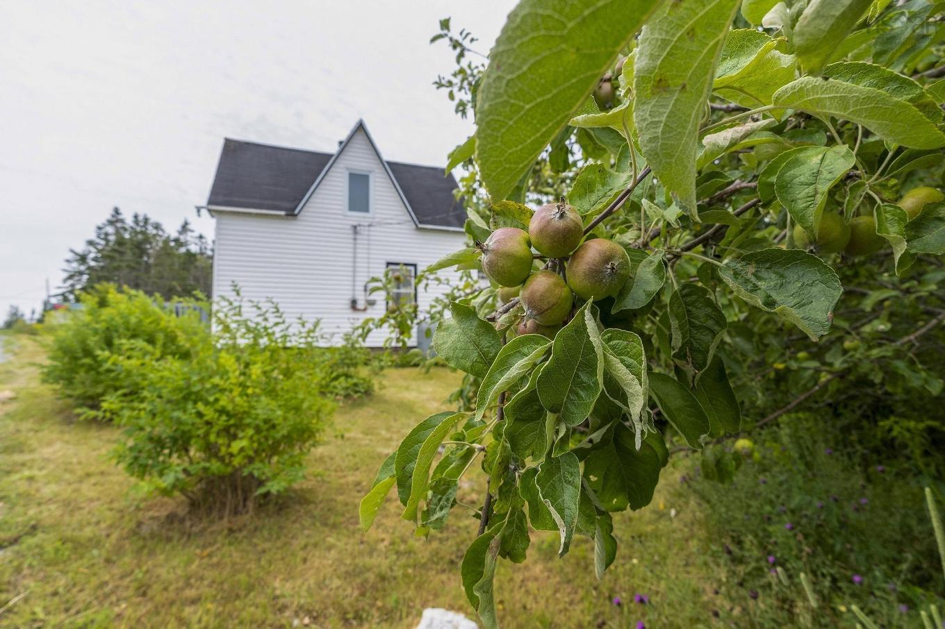 140 Hartling Road, West Quoddy, NS