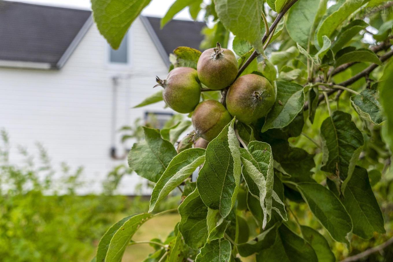 140 Hartling Road, West Quoddy, NS