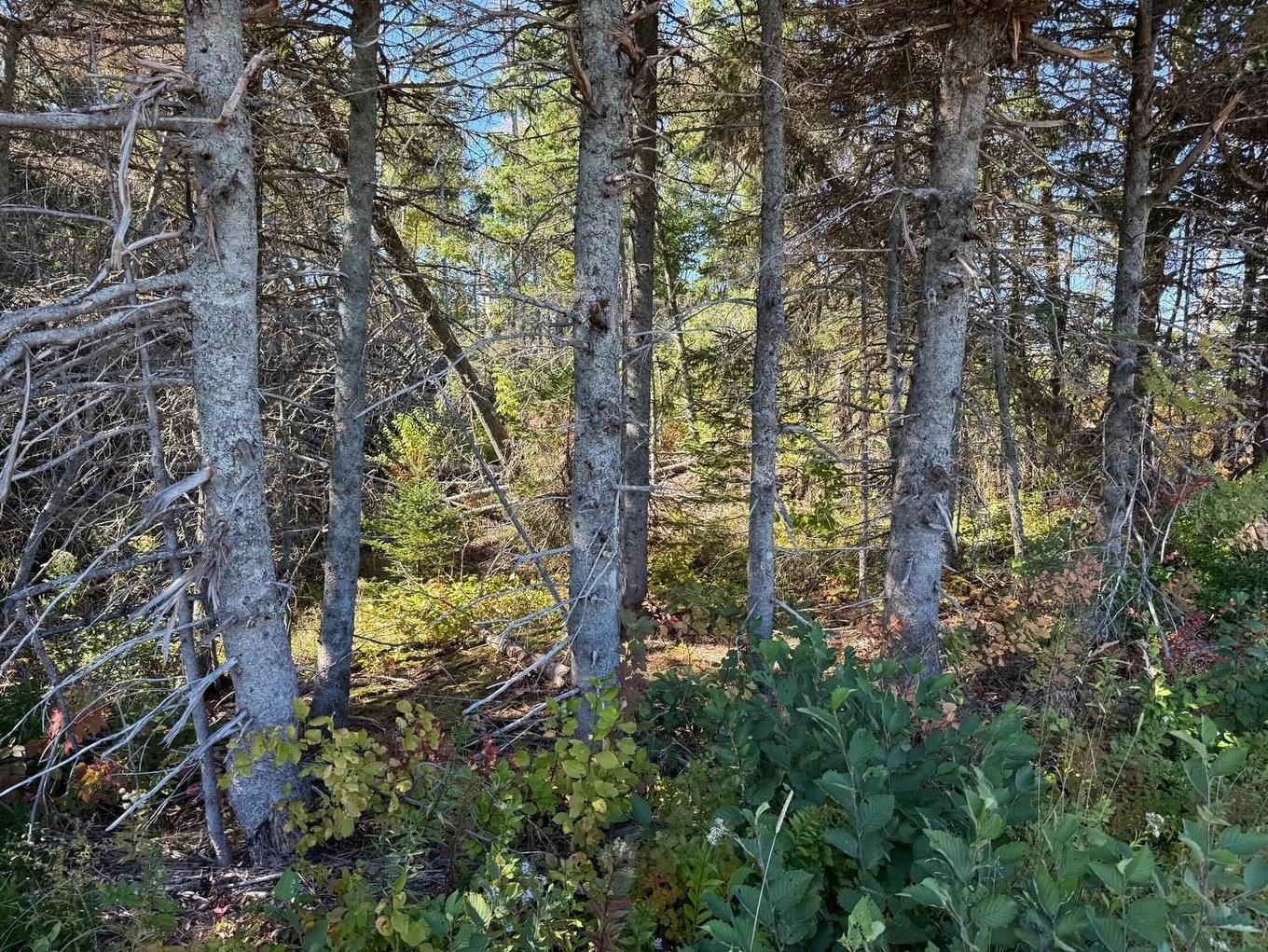 0 Rte 310, Howe Bay, PE