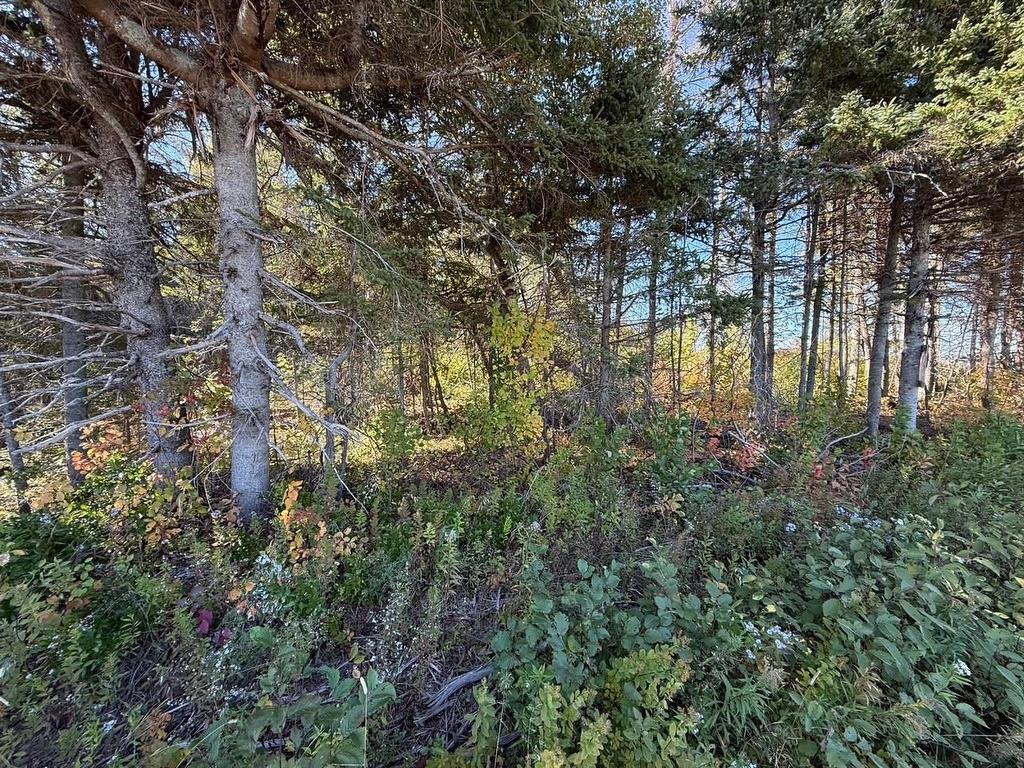 0 Rte 310, Howe Bay, PE