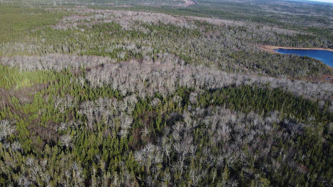 Salmon River Road, Salmon River, NS