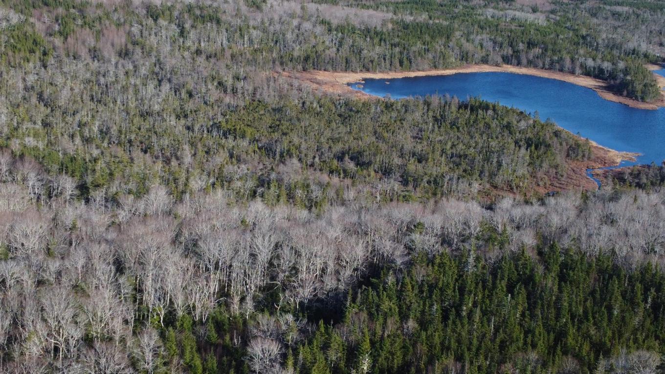 Salmon River Road, Salmon River, NS
