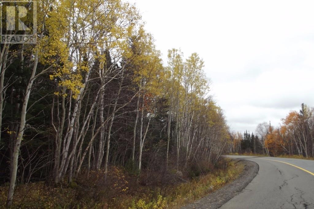 34-60 Rattling Brook Road, Norris Arm, NL