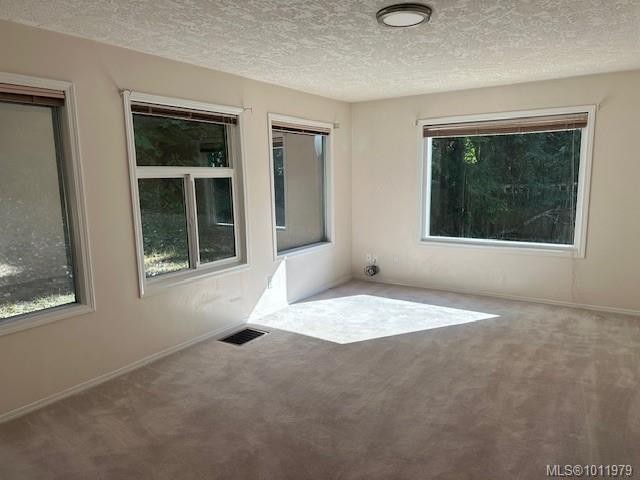 1376 Algonkin Rd, Duncan, BC