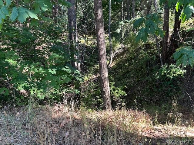 1376 Algonkin Rd, Duncan, BC