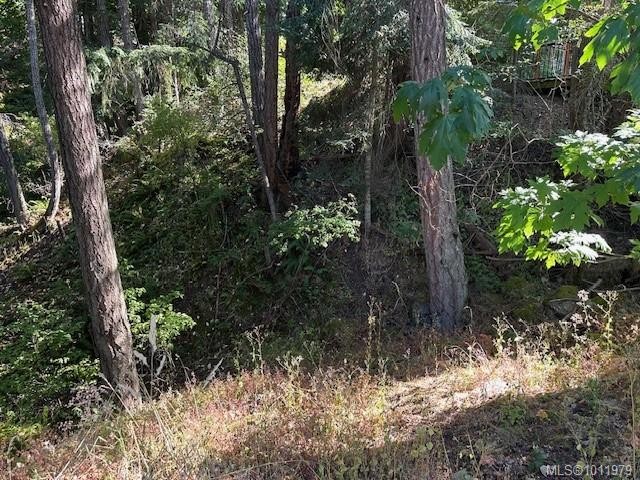 1376 Algonkin Rd, Duncan, BC