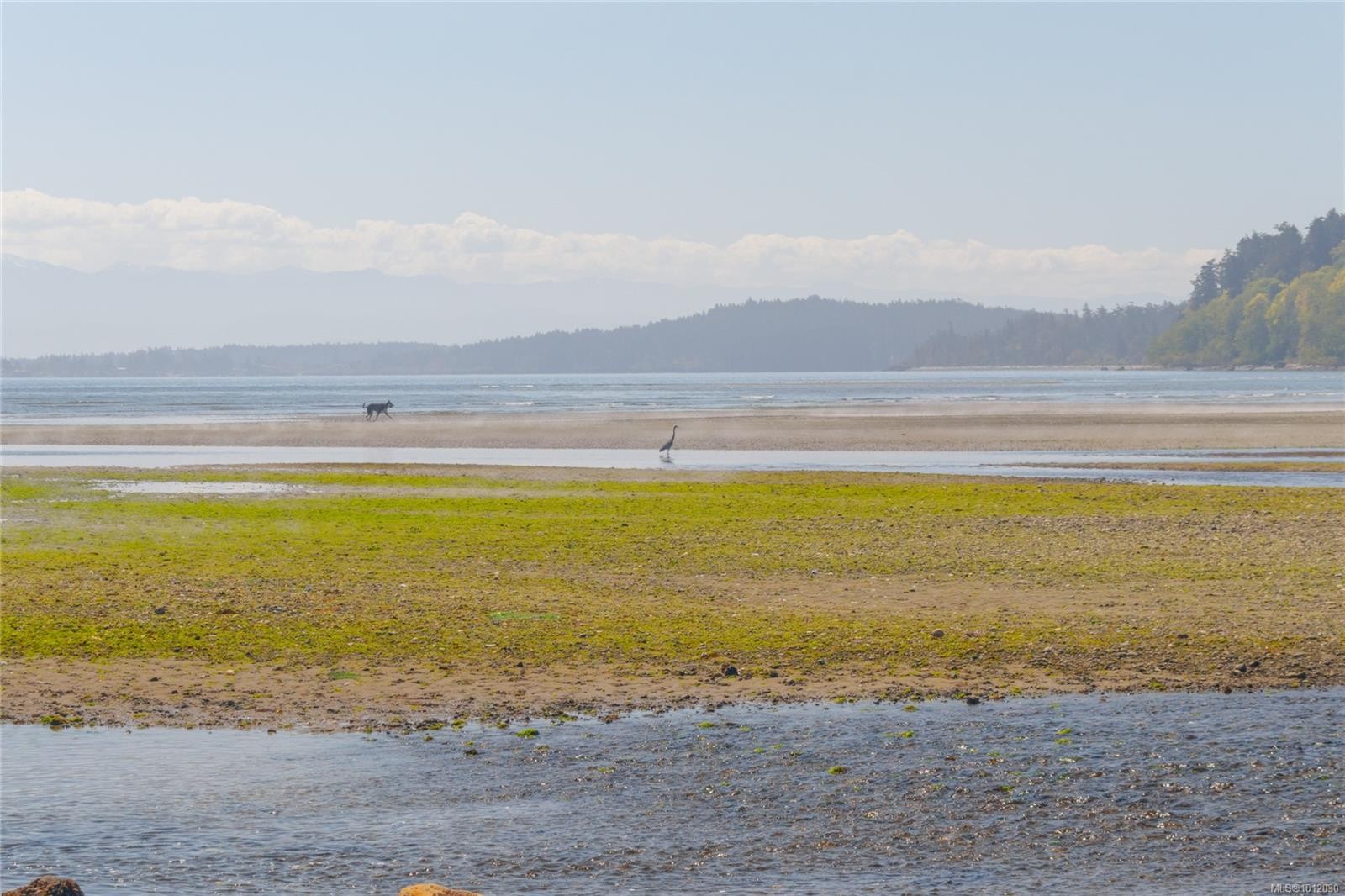 4286 Happy Valley Rd, Metchosin, BC