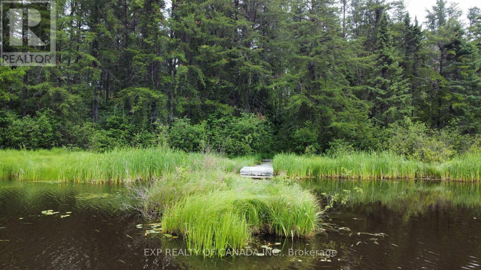 Pcl 17142 - 17143 Lt 13 Concession 6, Black River-Matheson (Matheson Unorganized), ON - Outdoor With View