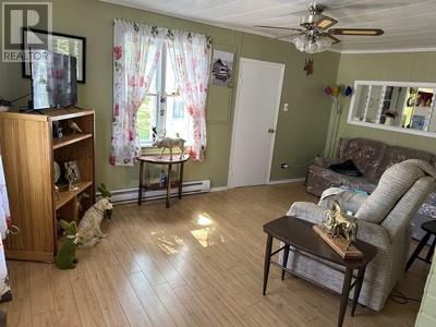 37 Lemarchant Street, Carboneare, NL - Indoor Photo Showing Living Room
