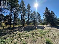 Trees giving the property some add shade and privacy. -