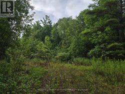 0 SECOND DEPOT LAKE ROAD Frontenac (Frontenac Centre), ON K0H 1T0