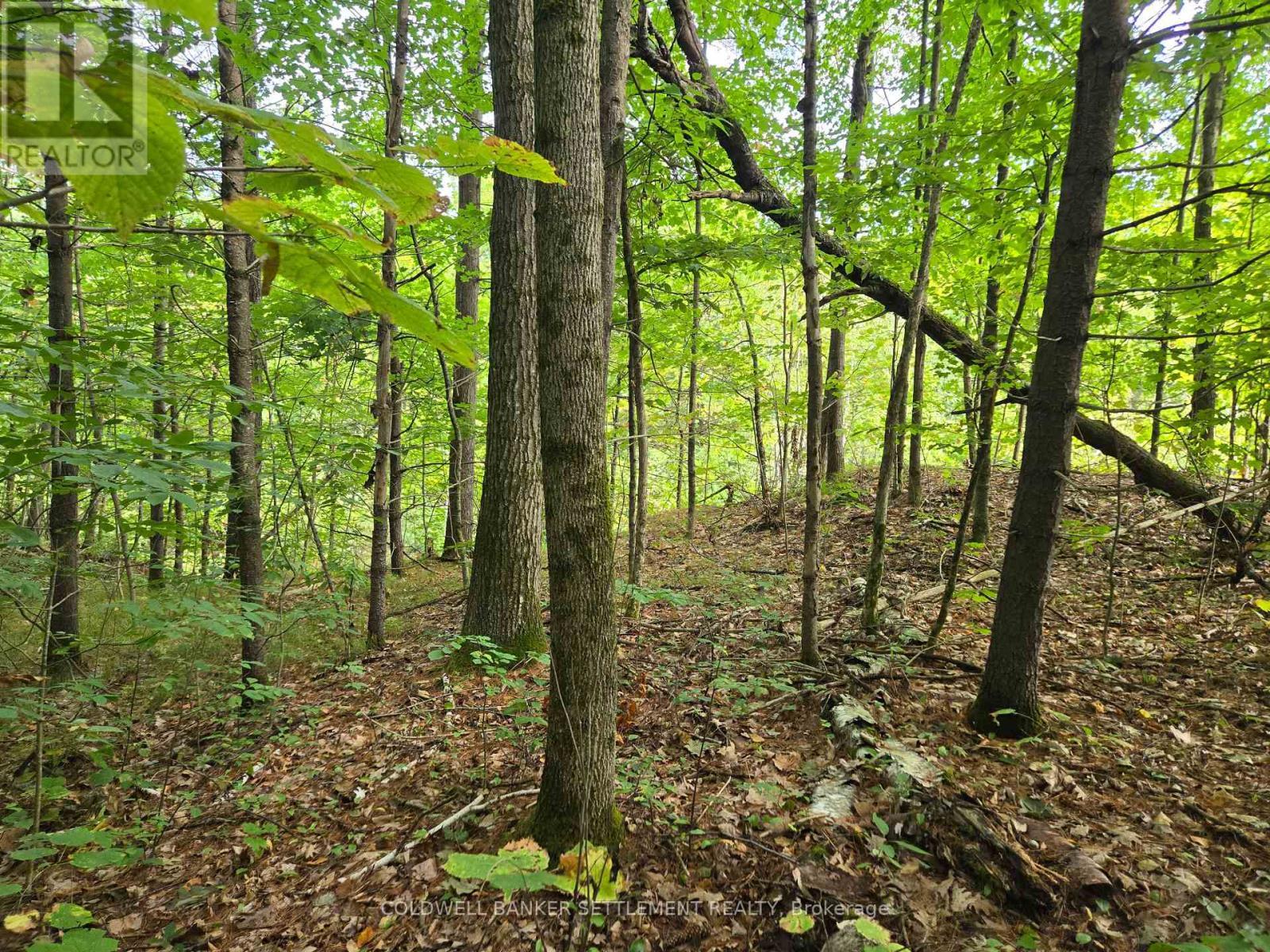0 Second Depot Lake Road, Frontenac (Frontenac Centre), ON