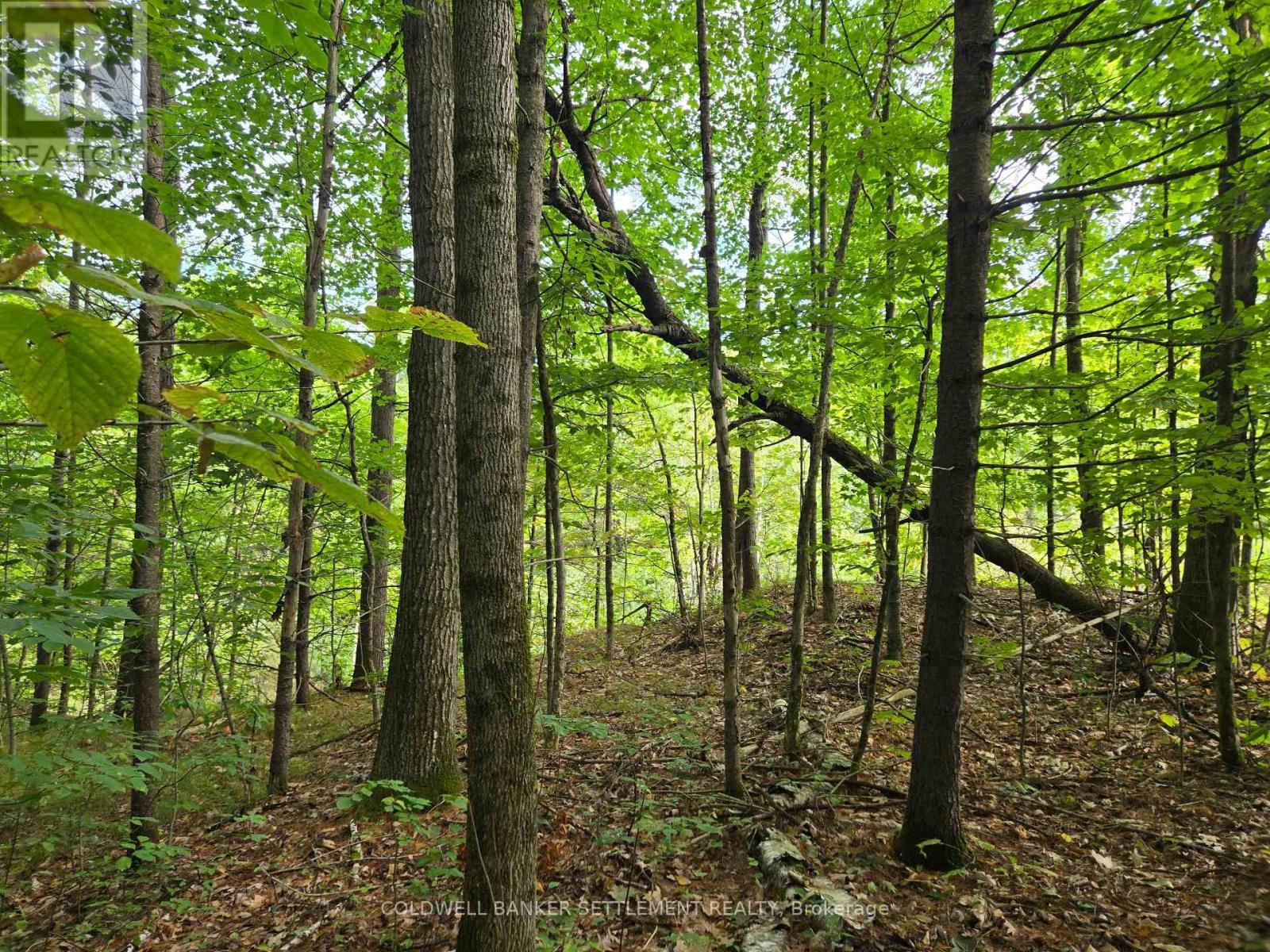 0 Second Depot Lake Road, Frontenac (Frontenac Centre), ON