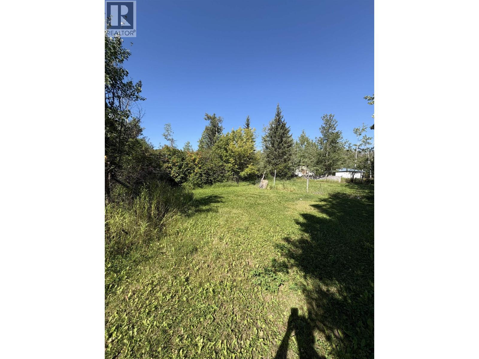 10105 Paquette Avenue, Hudsons Hope, BC - Outdoor With View