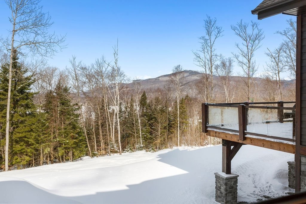 Vue - 104 Ch. Brunette, Lac-Supérieur, QC - Outdoor