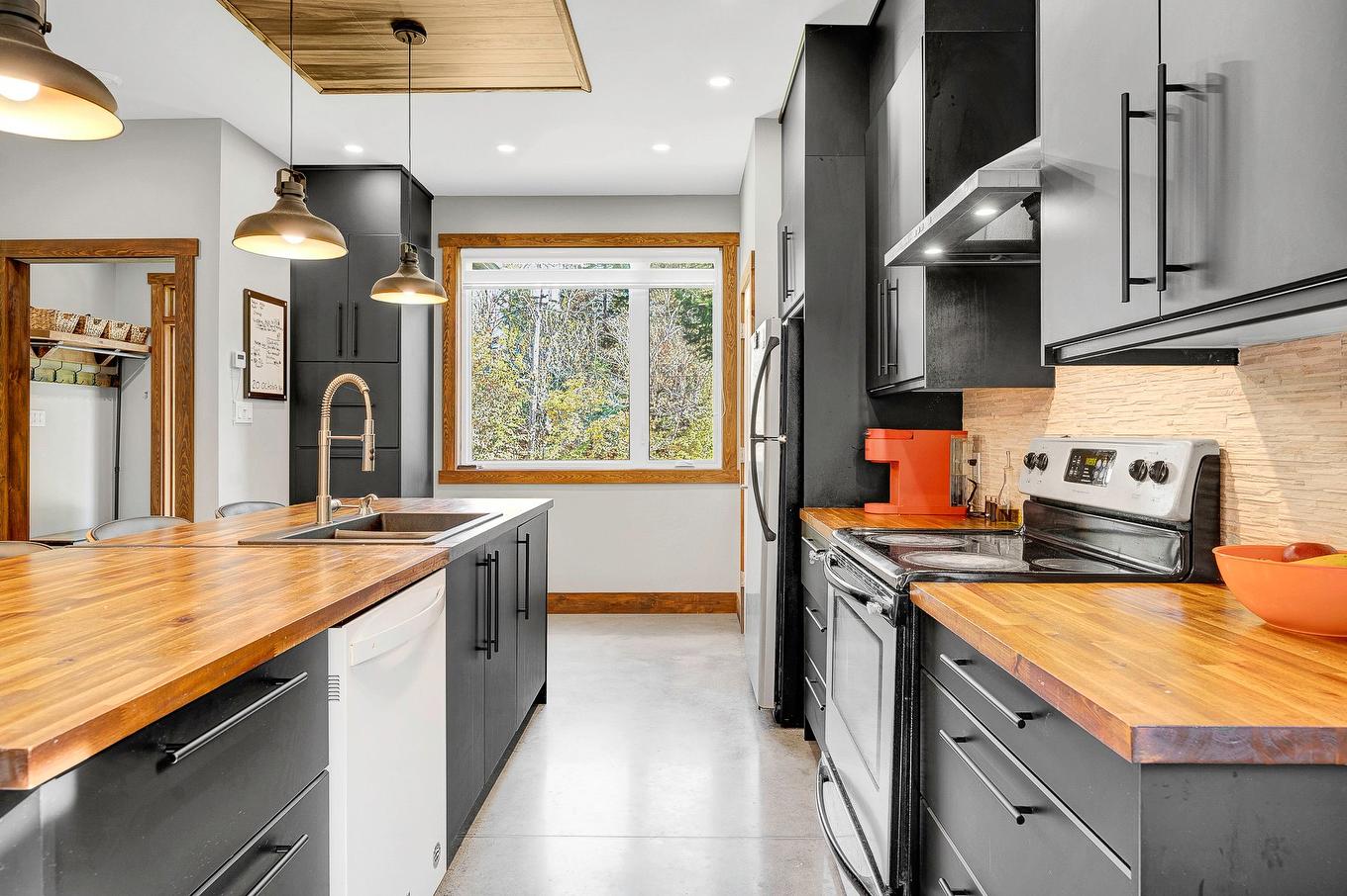 Cuisine - 180 Av. Nantel, Sainte-Agathe-Des-Monts, QC - Indoor Photo Showing Kitchen With Double Sink