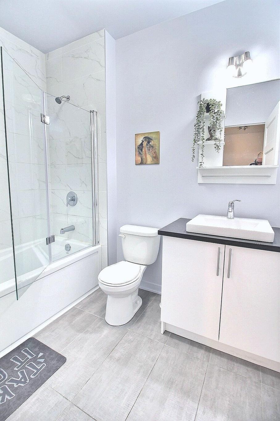 Salle de bains - 113-2530 Rue Maurice-Savoie, Longueuil (Le Vieux-Longueuil), QC - Indoor Photo Showing Bathroom