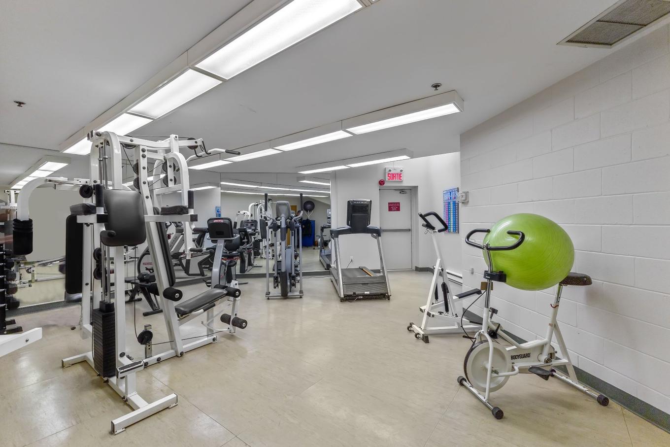 Exercise room - 116-4800 Rue Bossuet, Montréal (Mercier/Hochelaga-Maisonneuve), QC - Indoor Photo Showing Gym Room