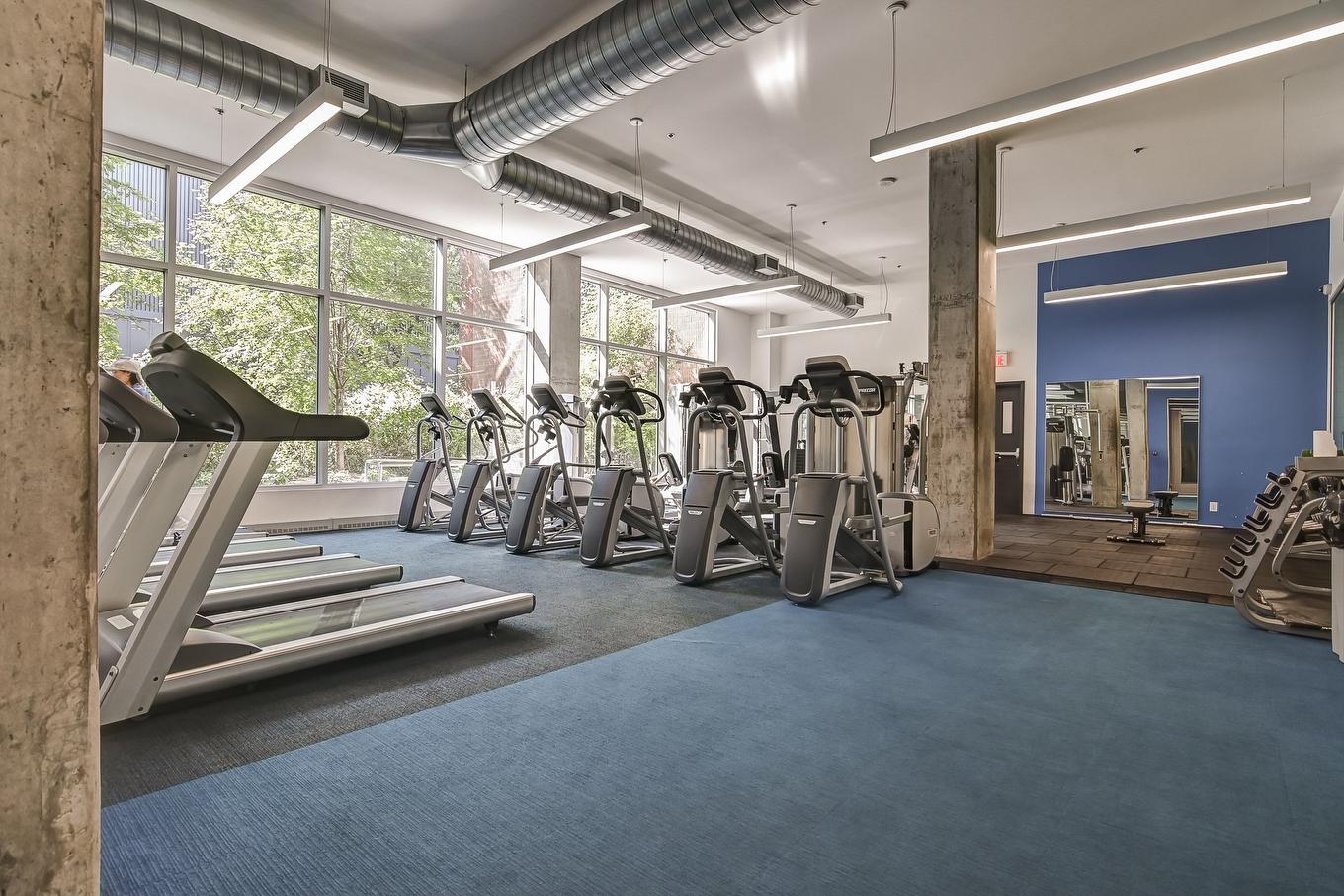 Exercise room - 209-1414 Rue Chomedey, Montréal (Ville-Marie), QC - Indoor Photo Showing Gym Room