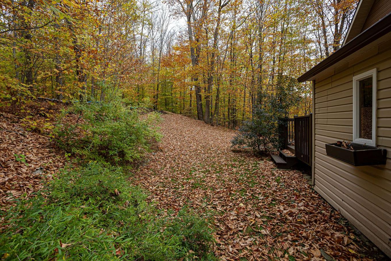 Boisé - 46 150E Avenue, Saint-Hippolyte, QC - Outdoor