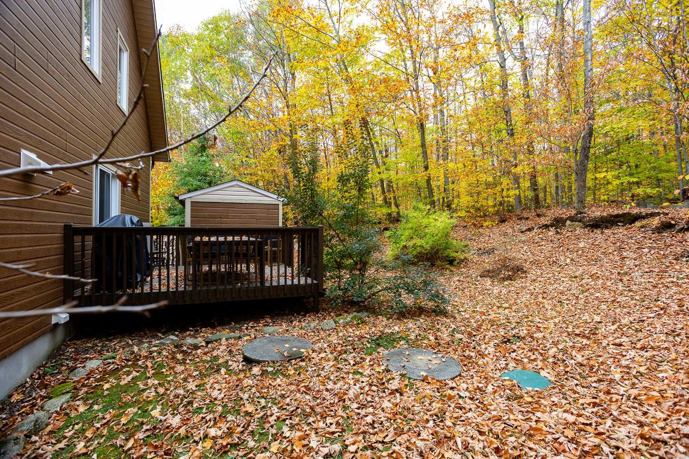 Cour - 46 150E Avenue, Saint-Hippolyte, QC - Outdoor With Deck Patio Veranda