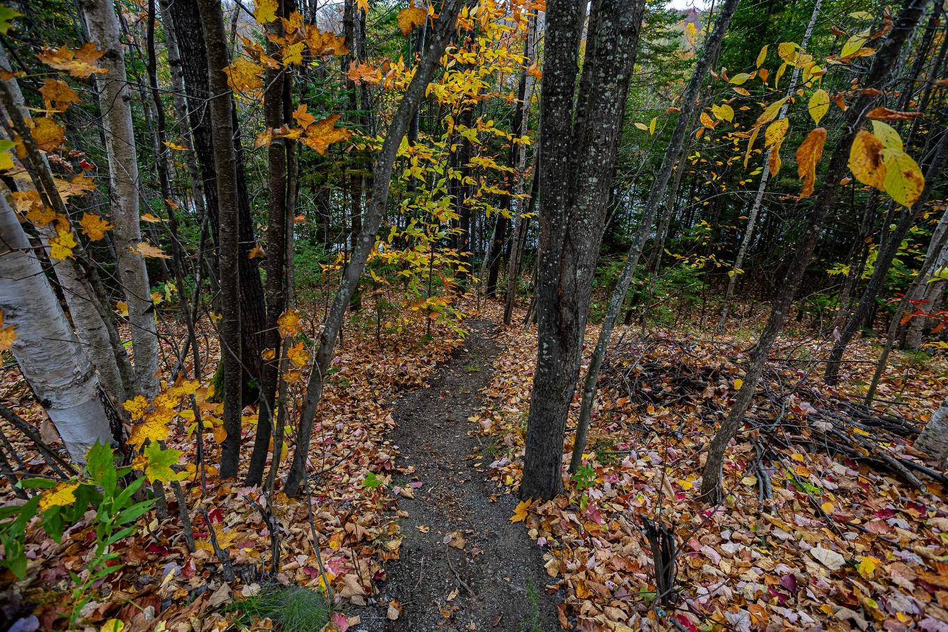 Accès au plan d'eau - 46 150E Avenue, Saint-Hippolyte, QC - Outdoor With View