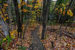 Access to a body of water -