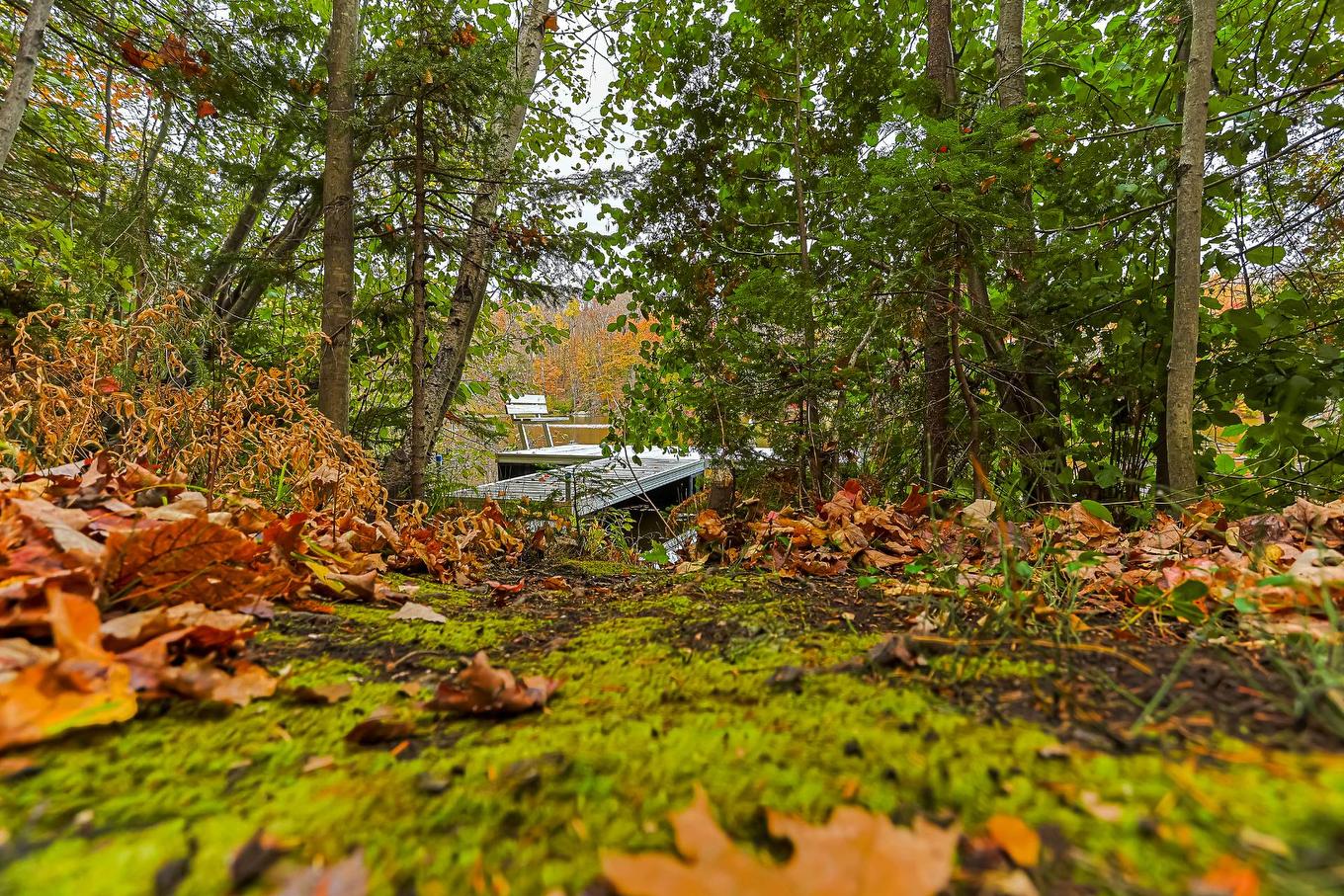 Accès au plan d'eau - 46 150E Avenue, Saint-Hippolyte, QC - Outdoor