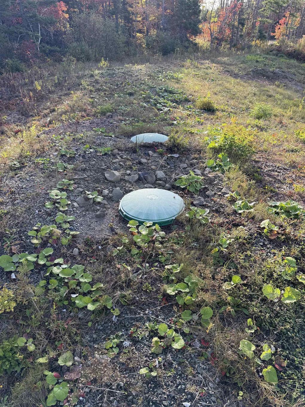 1600 Lingan Road, River Ryan, NS