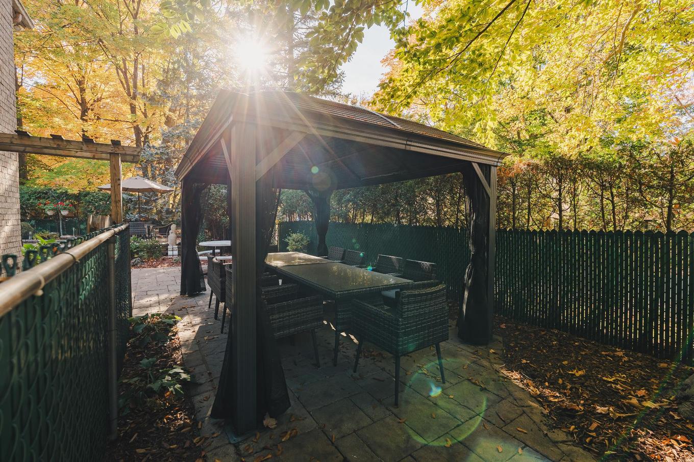 Cour - 234 Rue Plamondon, Repentigny (Repentigny), QC - Outdoor