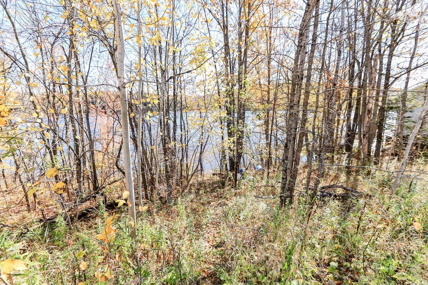 Accès au plan d'eau - 242 Route Du Lac-Rond N., Montcalm, QC - Outdoor With View