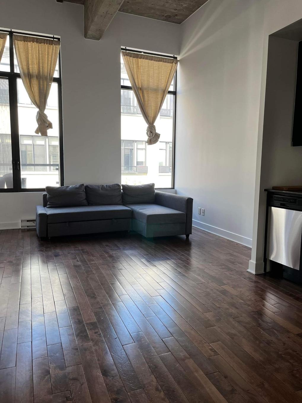 Salon - 317-3700 Rue St-Antoine O., Montréal (Le Sud-Ouest), QC - Indoor Photo Showing Living Room
