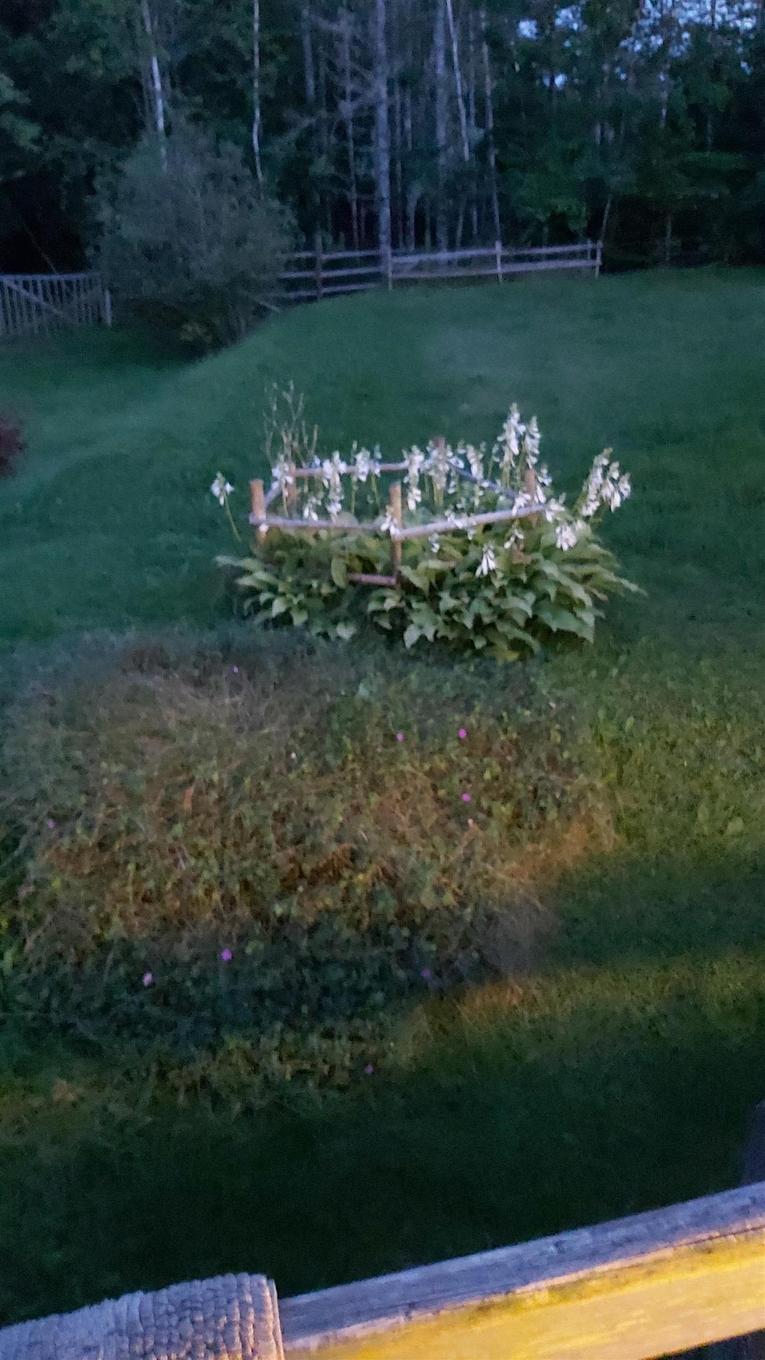 624 Salem Cross Road, Macphees Corner, NS