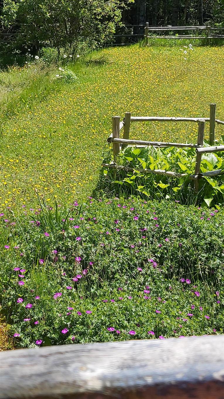 624 Salem Cross Road, Macphees Corner, NS