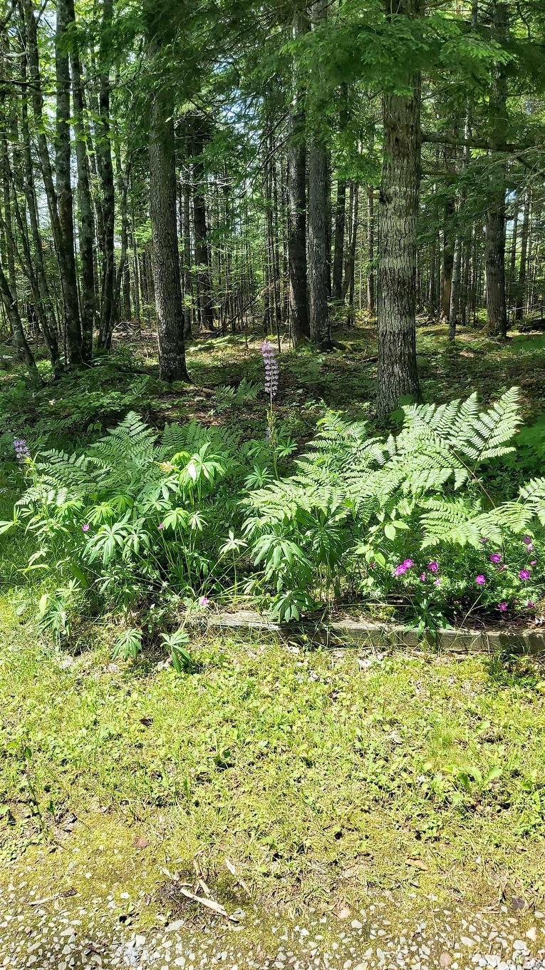 624 Salem Cross Road, Macphees Corner, NS