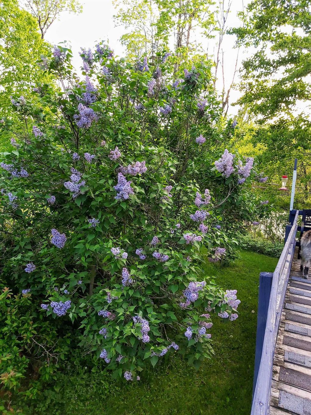 624 Salem Cross Road, Macphees Corner, NS