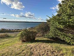 477 Overcove Road Freeport, NS B0V 1B0