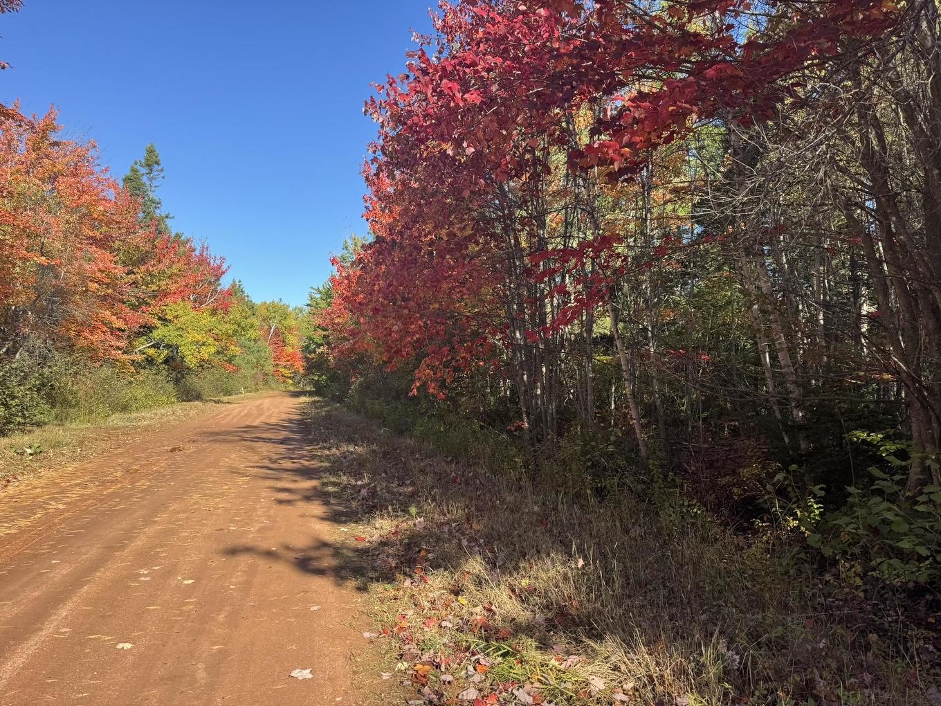 0 Mill Road, North Enmore, PE