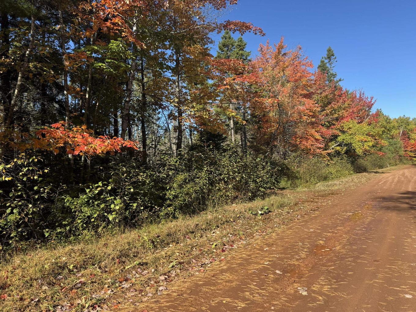 0 Mill Road, North Enmore, PE